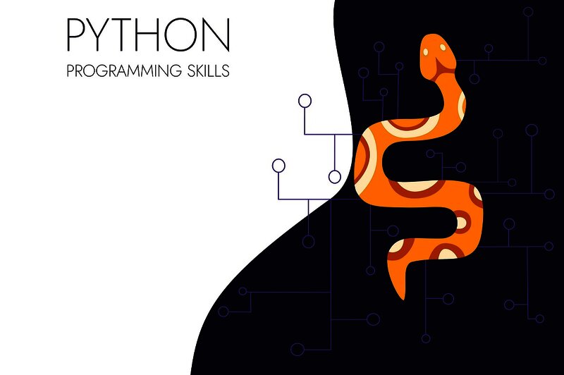 Python Programming Skills