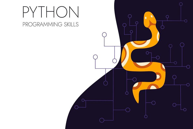 Python Programming Skills